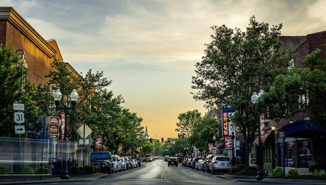 Cars parked along a tree-lined street
