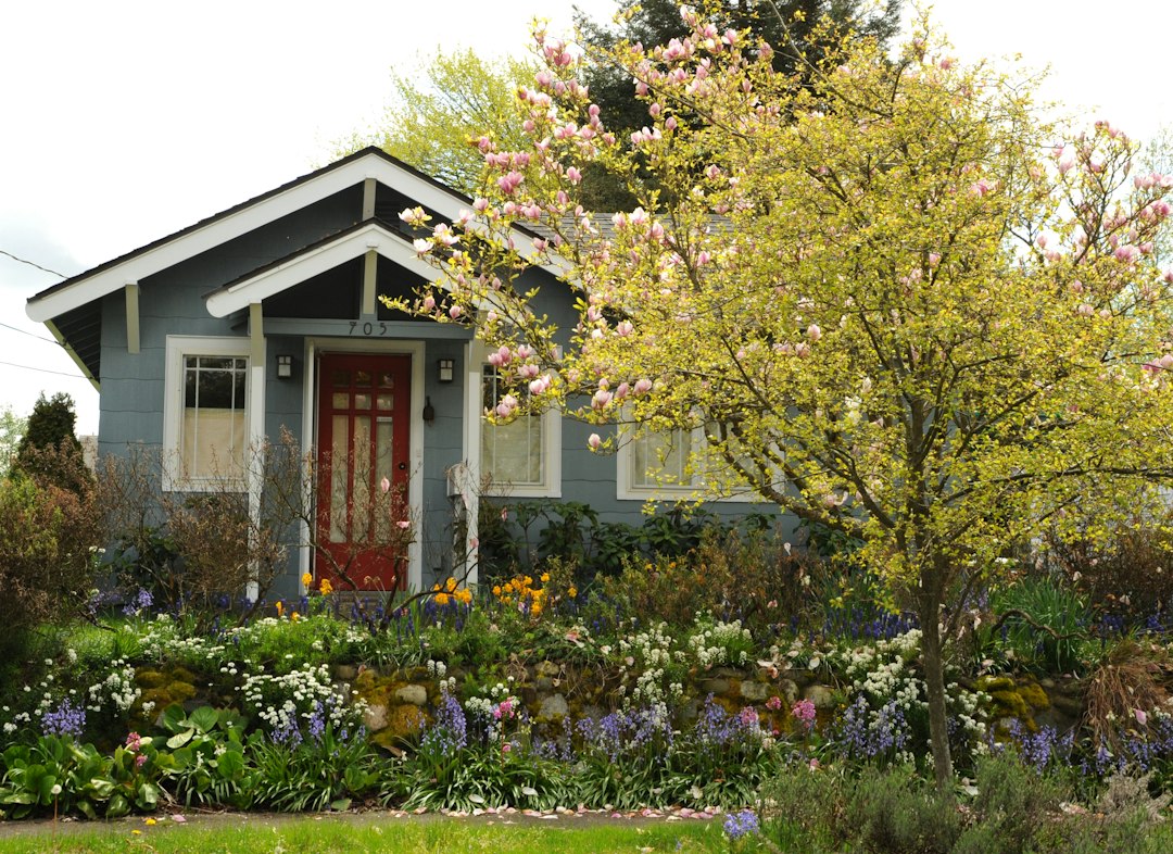 Gray home with flowering spring yard in Seattle
