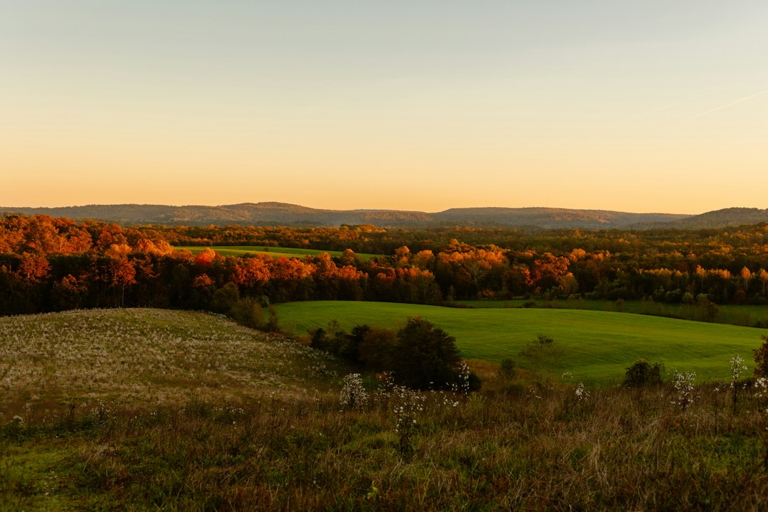 Tennessee farmland in warm evening light
