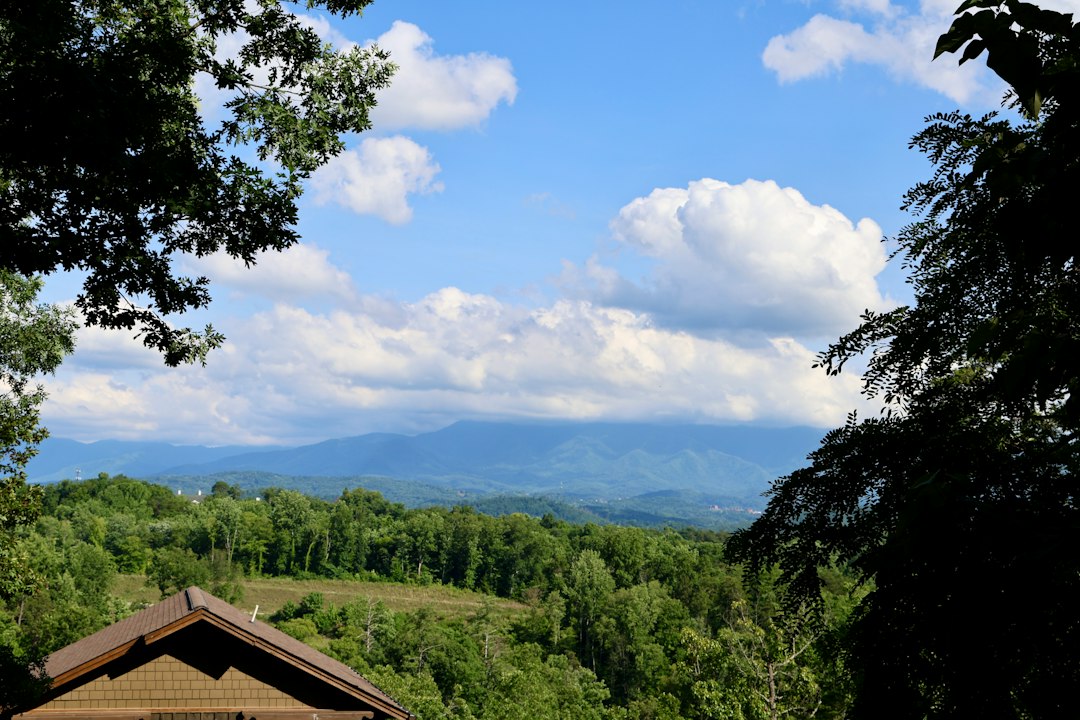 Green wooded hills in Middle Tennessee