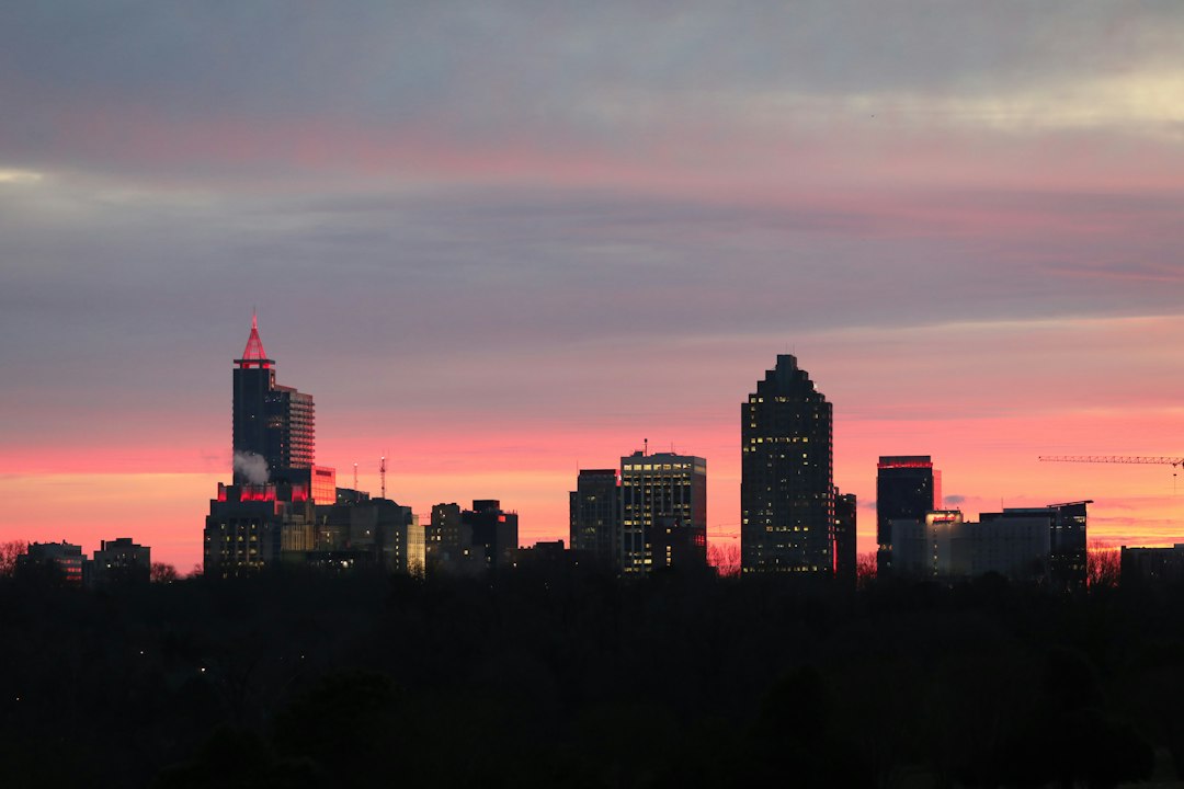 Raleigh skyline framed by leafy trees