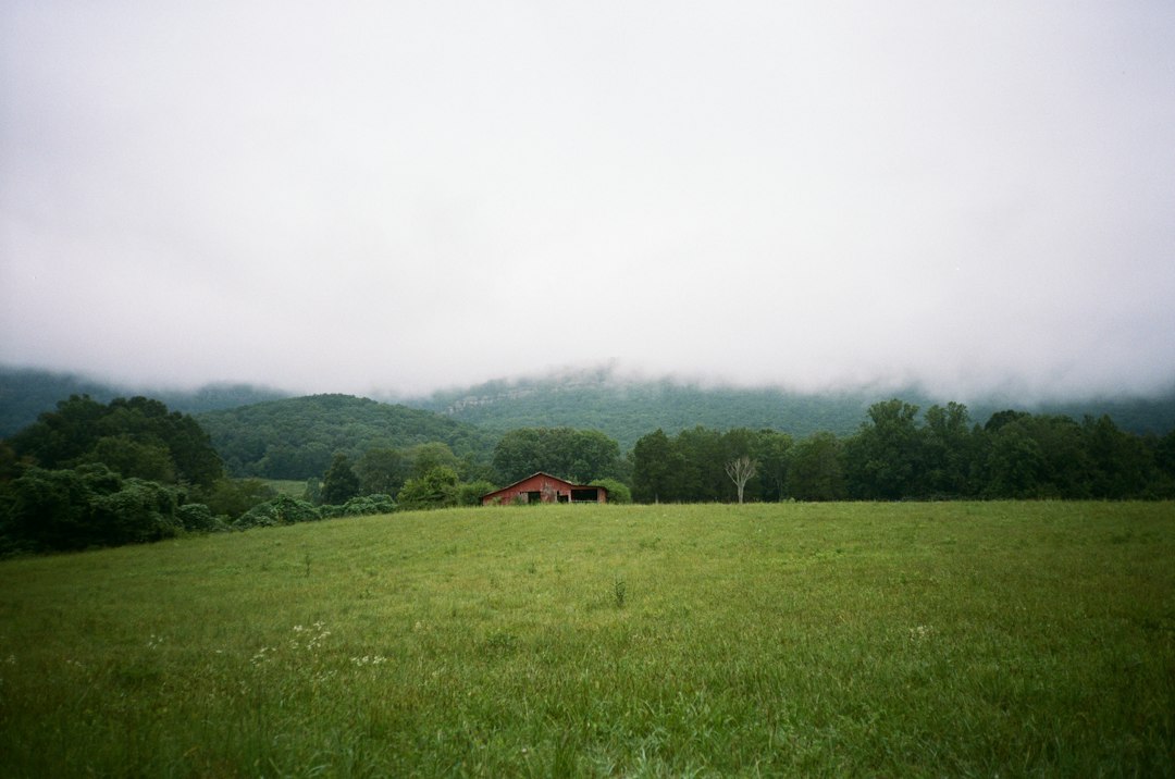 House in a green field; illustrative stock photo