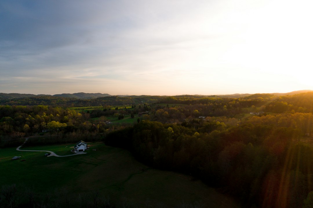 Aerial view of an open field and house; illustrative stock photo