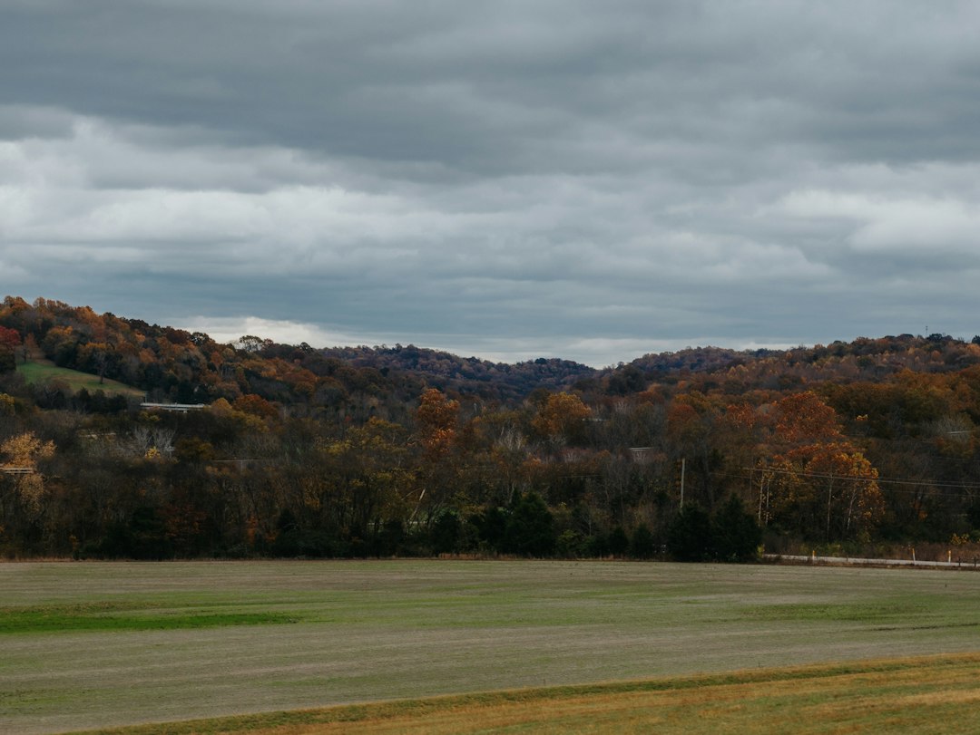 Open grass and autumn trees beneath a cloudy sky; illustrative stock photograph